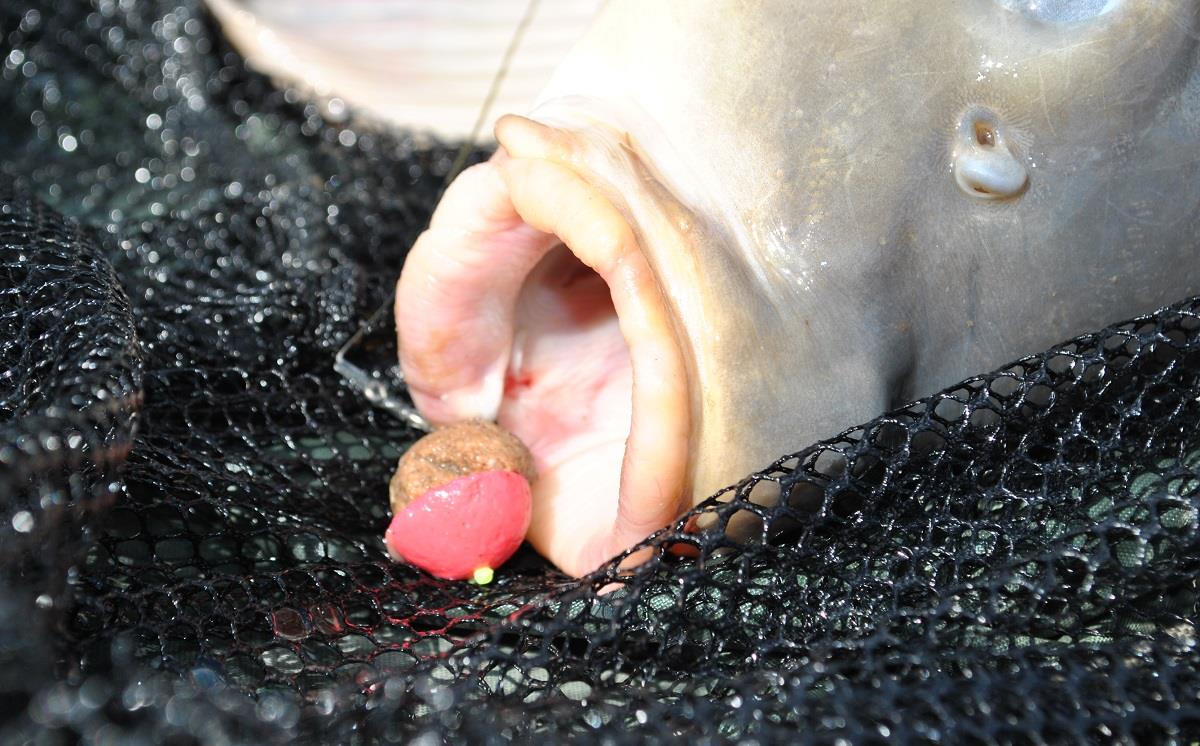 10 ponturi de primăvară